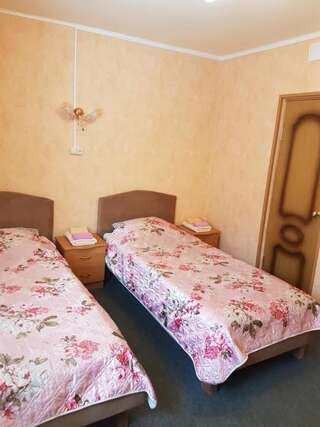Мини-отель Mini Hotel Agora Ковров Стандартный двухместный номер с 2 отдельными кроватями-8